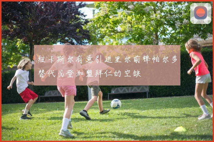 纽卡斯尔有意引进里尔前锋帕尔多替代戈登加盟拜仁的空缺